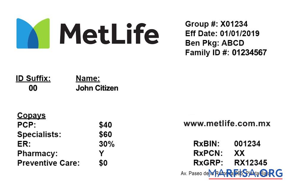 Downloadable Mexico health insurance card real example